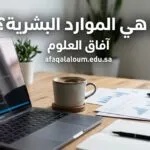 ما هي الموارد البشرية؟ كل ما تحتاج معرفته عن الوظيفة الأهم في أي مؤسسة ناجحة