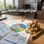 أنواع الميزانيات المالية: تعرف على كل نوع ومتى تستخدمه لتحكم السيطرة على أموالك